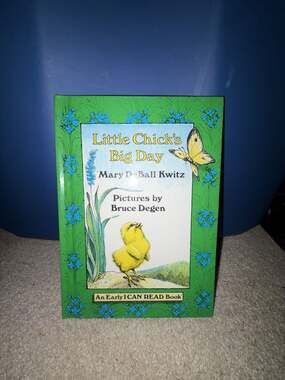 Little Chick's Big Day by Mary DeBall Kwitz, Illustrated by Bruce Degen (1981)